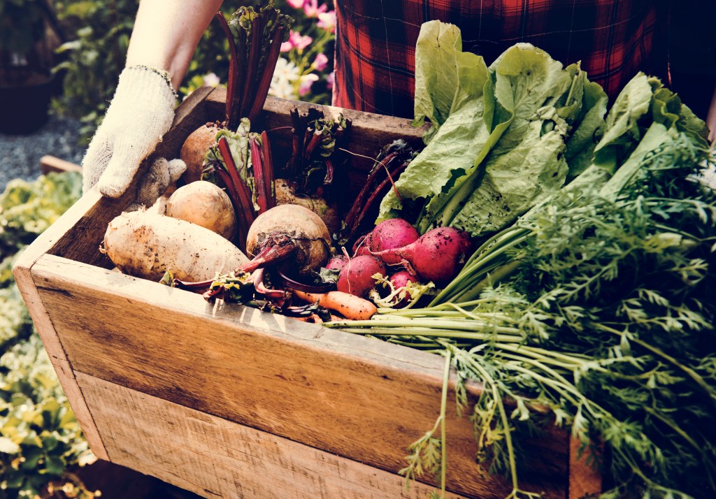 Manger de saison : un choix écologique et&nbsp;responsable